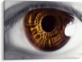 Obraz - Oko (70x50 cm)