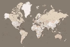 Mapa Earth tones detailed world map with cities, Blursbyai