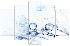 Gario Obraz na plátne Kvapky vody na féne - 5 dielny Rozmery: 100 x 70 cm