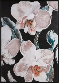 OBRAZ 638 50X70 CM