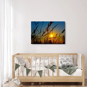 Obraz - Západ slnka v lúke (90x60 cm)