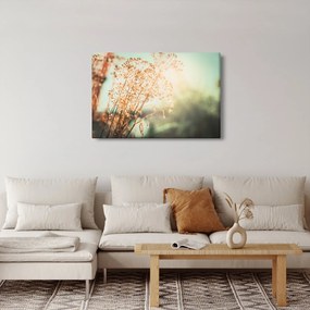 Obraz - Lúčne rastliny (90x60 cm)