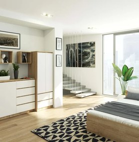 Skriňa STAR S 60 cm 2D 2SZ sonoma / biela