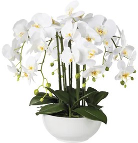 Umelá orchidea phalaenopsis 54 cm biela v keramickej miske Real Touch