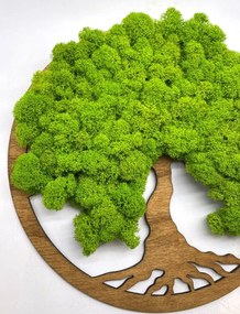 Strom na stenu z machu Marin 30 cm