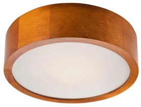 Stropné svietidlo 1xE27/60W/230V