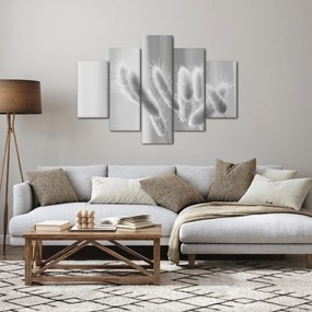 Obraz - Bunny tail grass (150x105 cm)