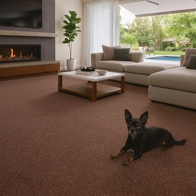 AladinWorld Expres, AKCIA: 50x200 cm Kusový koberec Bohemia terakota - obšitý zo všetkých strán, šíře, oranžová, filc, kancelária