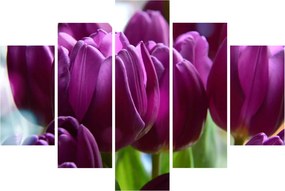 Obraz tulipánov (150x105 cm)