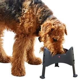 Rotho Výškovo nastaviteľná miska pre psy a mačky, 1l SAMMY - antracit