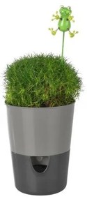 Samozavlažovací kvetináč Rosmarin, antracit, Plastia