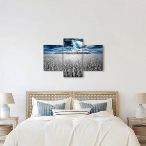 Obraz pole (90x60 cm)