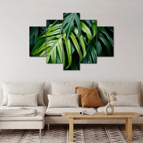 Obraz - Tropické listy (150x105 cm)