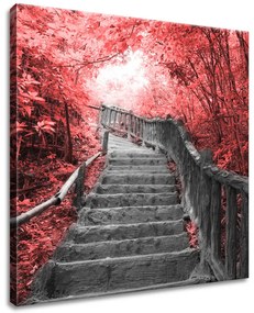 Gario Obraz na plátne Schody v červenom lese Rozmery: 40 x 60 cm