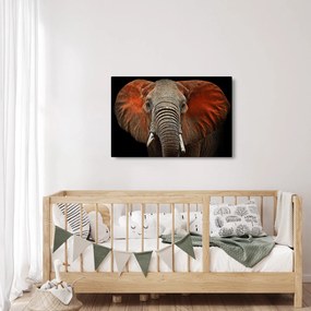 Obraz - Slony z Tsavo (90x60 cm)