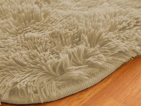 TZ Hnedý obdĺžnikový shaggy koberec Lana Rozmer: 200x250