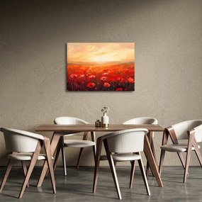 Obraz - Pole vlčích makov (70x50 cm)