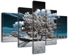 Gario Obraz na plátne Záhadné silné stromy Veľkosť: 100 x 70 cm