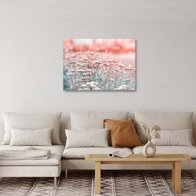 Obraz - Lúčne kvety (70x50 cm)