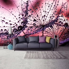 Fototapeta - Púpavy - abstraktné - fialové (152,5x104 cm)