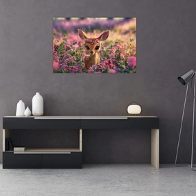 Obraz - Roztomilá srnčeka (90x60 cm)
