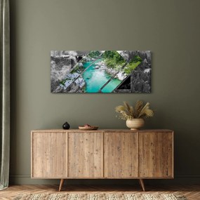 Obraz - Divoká príroda (120x50 cm)