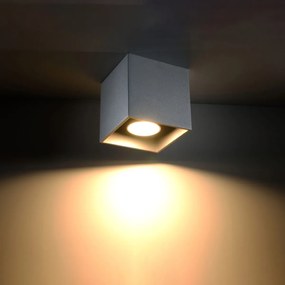 Sollux Lighting Stropné svietidlo QUAD 1 sivé