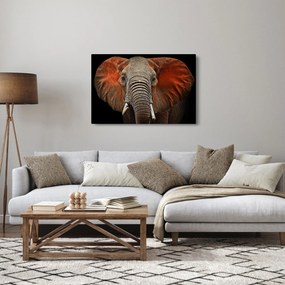 Obraz - Slony z Tsavo (90x60 cm)