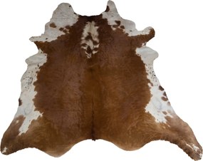 Koža z argentínskej kravy hnedá 002