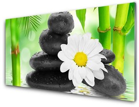 Obraz plexi Bambus kamene zen kvet 100x50 cm