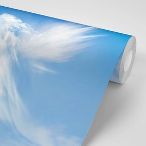 Samolepiaca tapeta podoba anjela v oblakoch - 225x150
