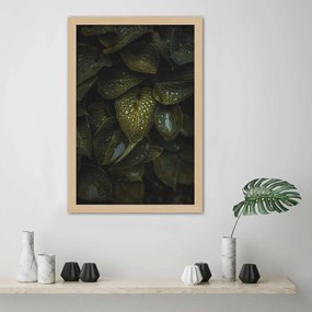 Gario Plagát Kvapky vody na listoch Farba rámu: Bez rámu, Rozmery: 40 x 60 cm