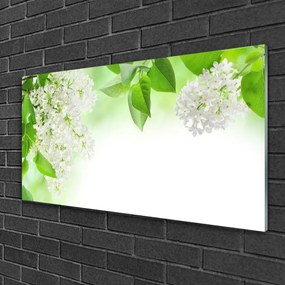 Obraz na skle Plátky rastlina príroda 125x50 cm