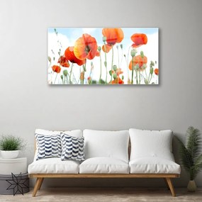 Skleneny obraz Kvety maky lúka pole príroda 120x60 cm