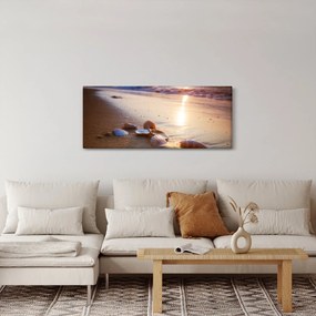 Obraz - Mušle (120x50 cm)