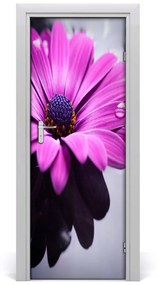 Samolepiace fototapety na dvere ružová gerbera 85x205 cm