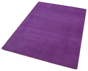Tmavofialový koberec 160x240 cm Fancy – Hanse Home