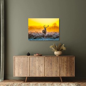 Sklenený obraz - Jeleň pri východe slnka (70x50 cm)