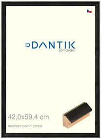 DANTIK rám na obraz 42x59,4 | INCLINATA colori černá (Plexi Čiré)