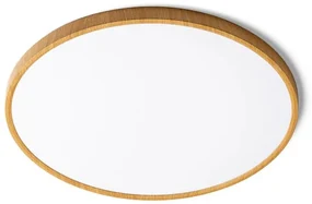 Moderné svietidlo RENDL RED LANA 60 stropné svietidlo CCT R14307
