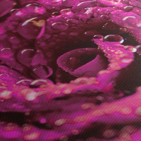Obraz ružového kvetu ruže (s hodinami) (90x30 cm)