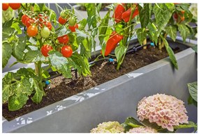 Gardena Zavlažovanie na terasu Micro-Drip-System  (100391578)