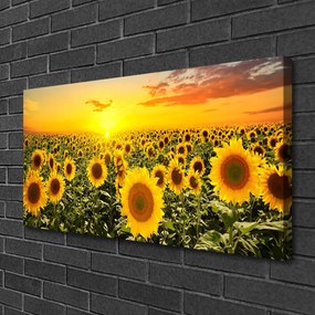 Obraz na plátne Slnečnica 120x60 cm