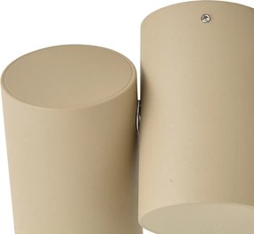 Moderný 2-svetelný naklápací stropný bodový reflektor Taupe - Michael