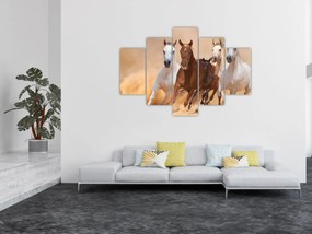 Obraz - Stádo koní (150x105 cm)