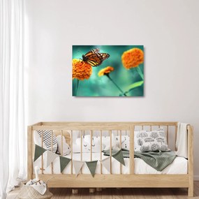 Sklenený obraz motýľa (70x50 cm)