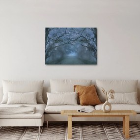 Obraz lesa v hmle (70x50 cm)