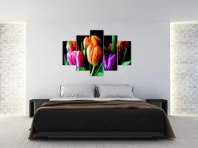 Obraz tulipánov na čiernom pozadí (150x105 cm)