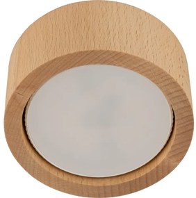 Bodové svietidlo EVE 1xGX53/11W/230V buk