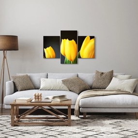 Obraz tulipánov (90x60 cm)